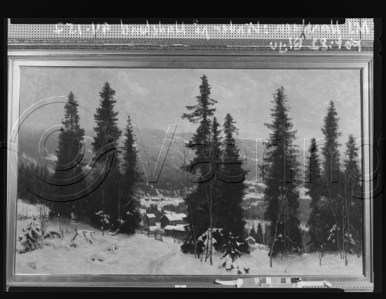Glassplate og negativ film