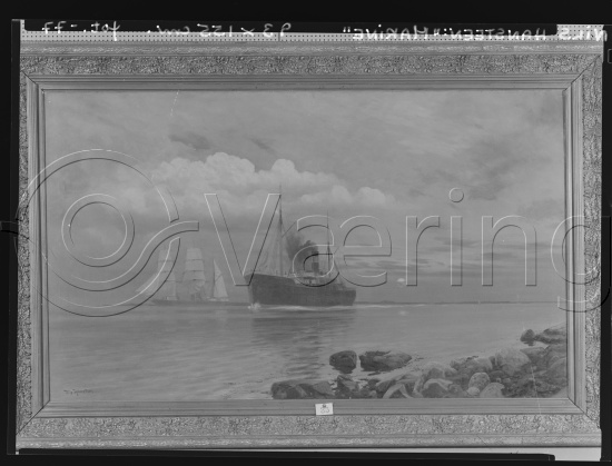 Glassplate og negativ film