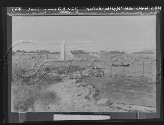 Glassplate og negativ film