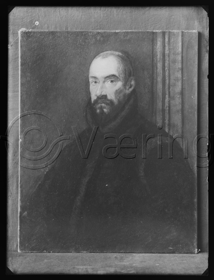 Glassplate og negativ bladfilm