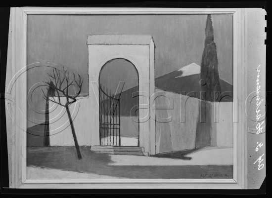 Glassplate og negativ film