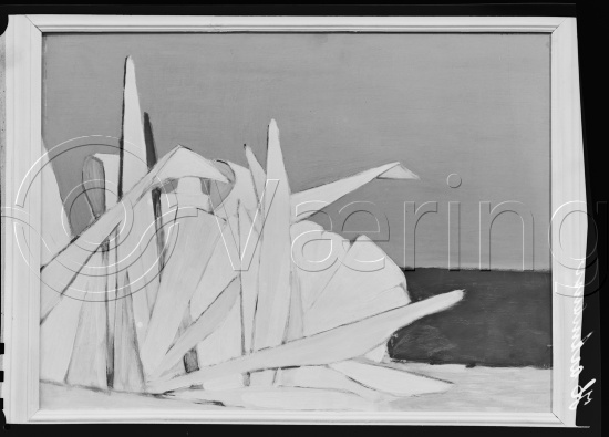 Glassplate og negativ film