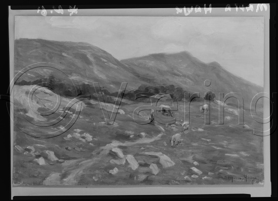 Glassplate og negativ film
