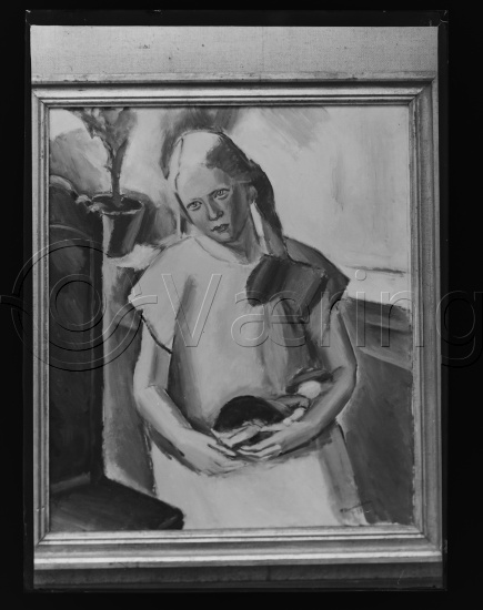 Glassplate og negativ film