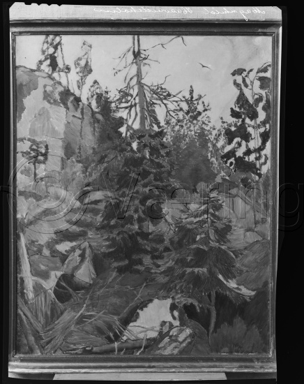 Glassplate og negativ film