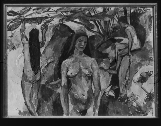 Glassplate og negativ film