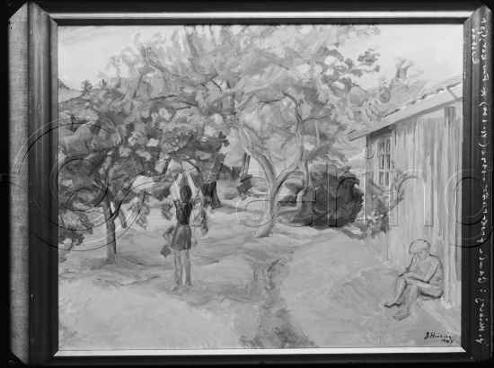 Glassplate og negativ film