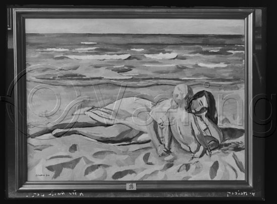 Glassplate og negativ film