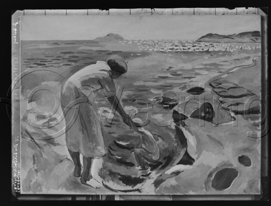 Glassplate og negativ film