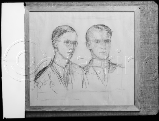 Glassplate og negativ film