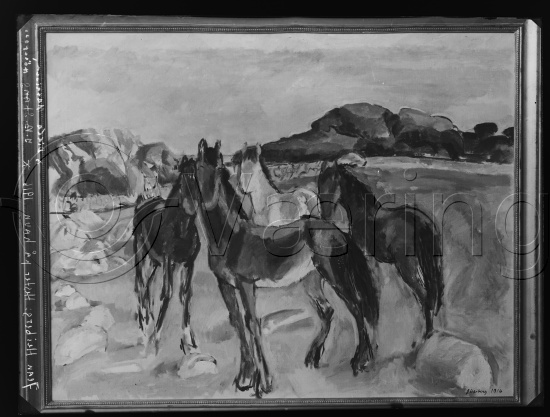 Glassplate og negativ film