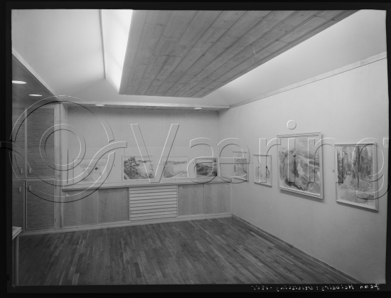 Glassplate og negativ film