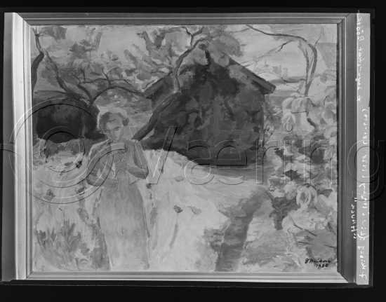 Glassplate og negativ film