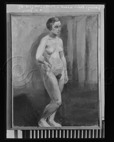 Glassplate og negativ film