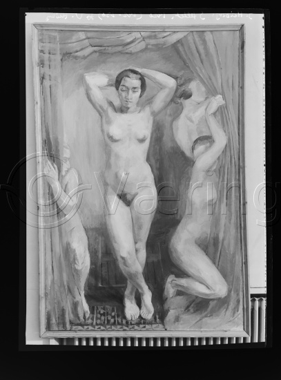 Glassplate og negativ film