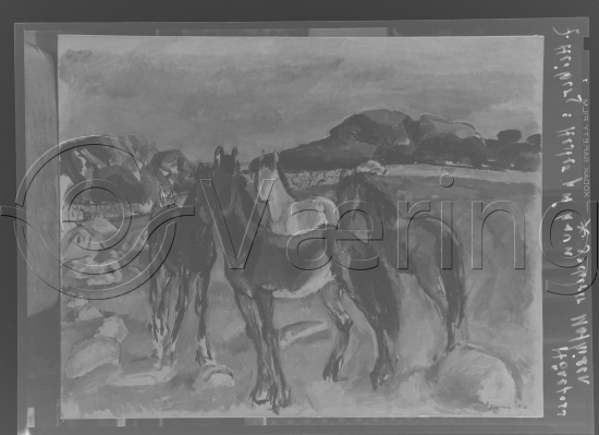 Glassplate og negativ film