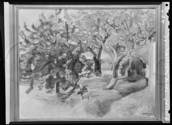 Glassplate og negativ film