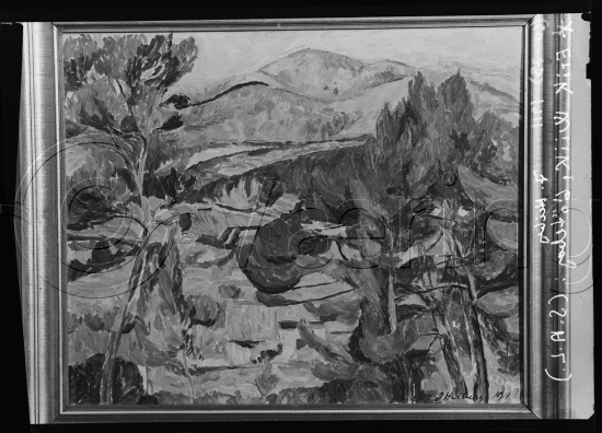 Glassplate og negativ film