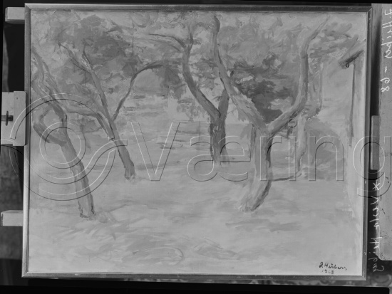 Glassplate og negativ film