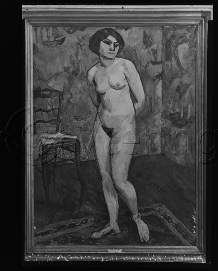 Glassplate og negativ film