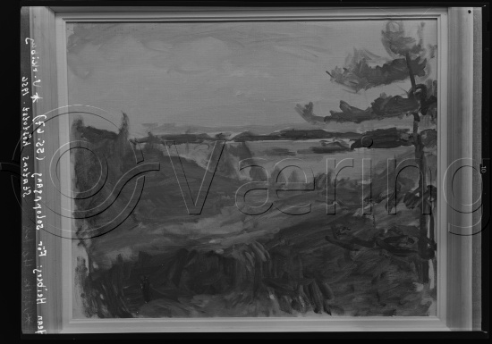 Glassplate og negativ film