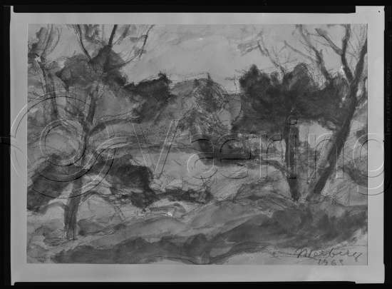 Glassplate og negativ film