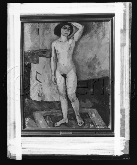 Glassplate og negativ film