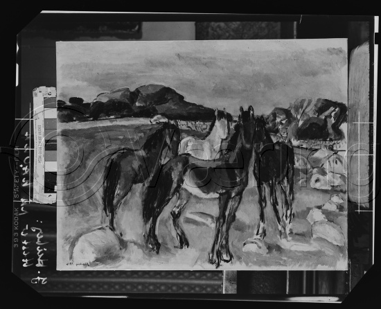 Glassplate og negativ film