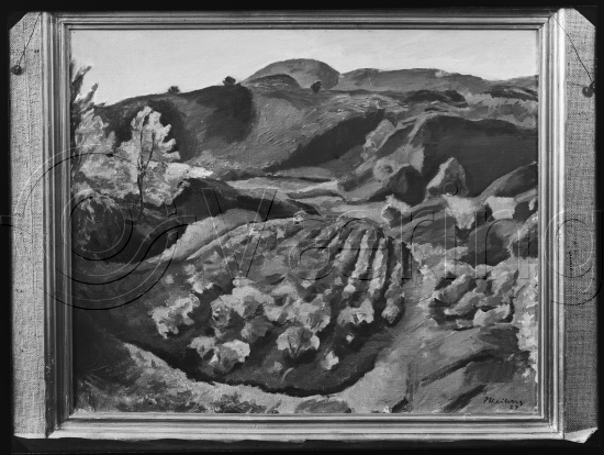 Glassplate og negativ film