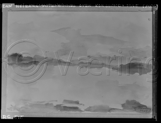 Glassplate og negativ film