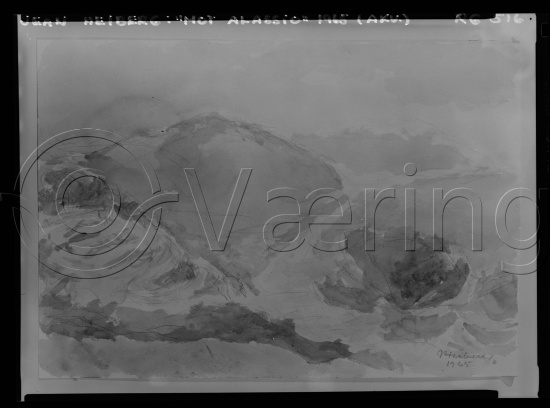 Glassplate og negativ film