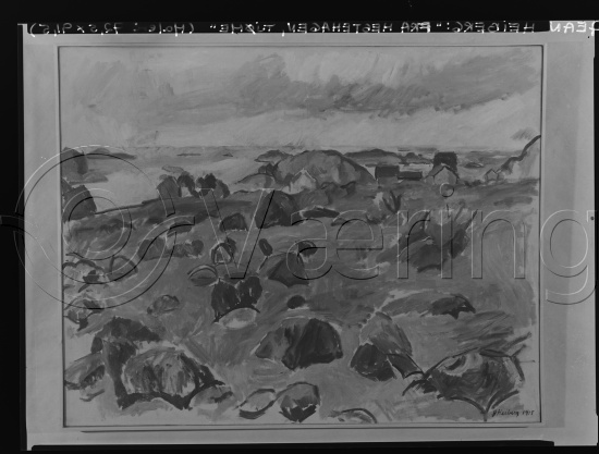 Glassplate og negativ film