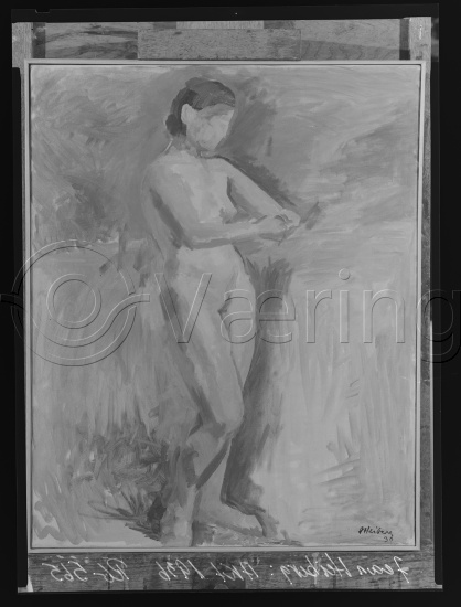 Glassplate og negativ film