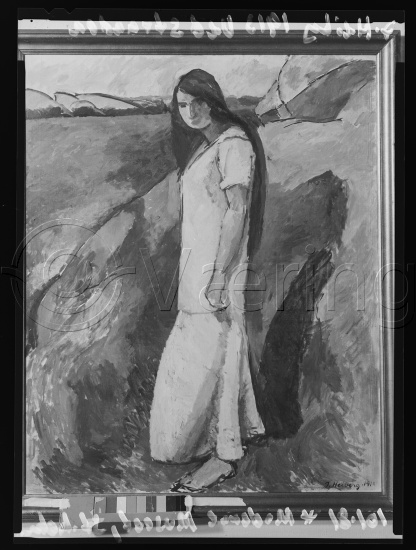 Glassplate og negativ film