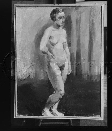 Glassplate og negativ film