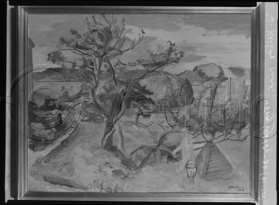 Glassplate og negativ film