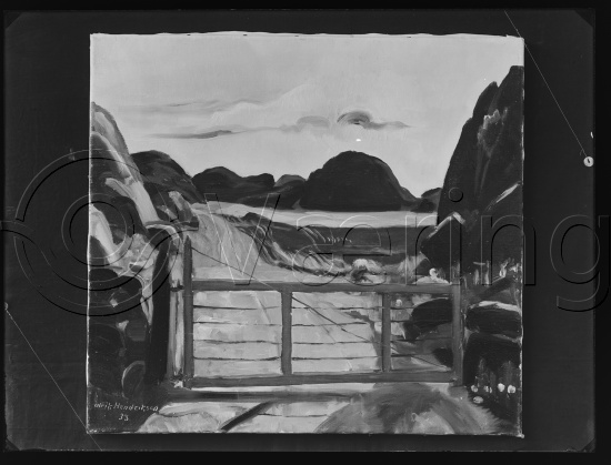 Glassplate og negativ film