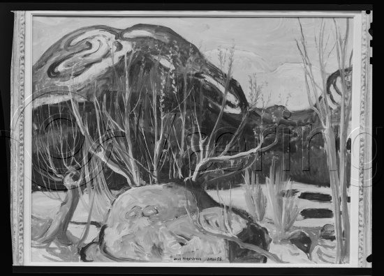 Glassplate og negativ film