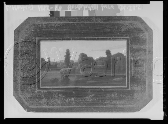 Glassplate og negativ film
