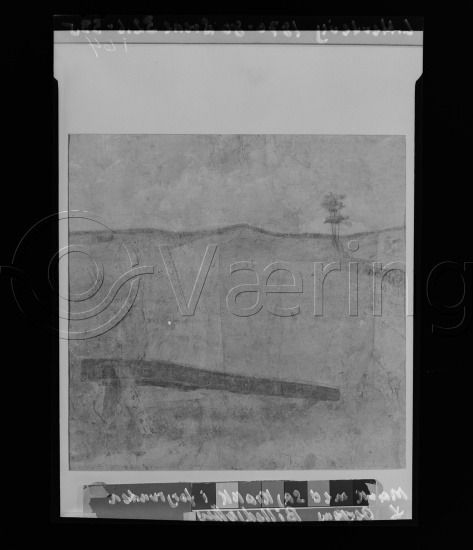 Glassplate og negativ film