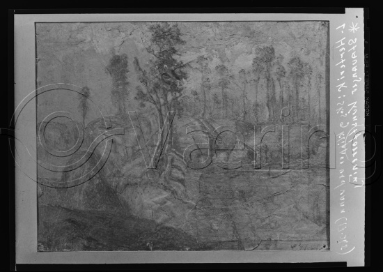 Glassplate og negativ film