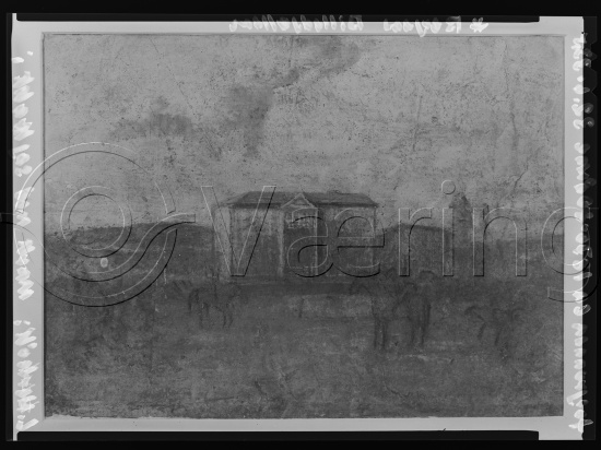 Glassplate og negativ film