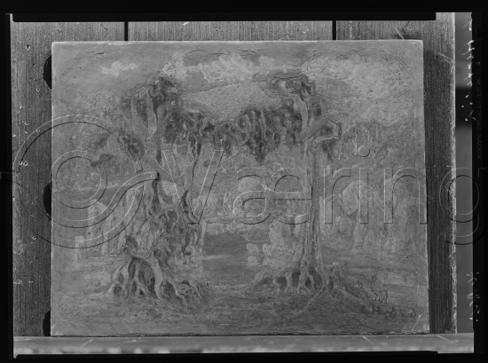 Glassplate og negativ film
