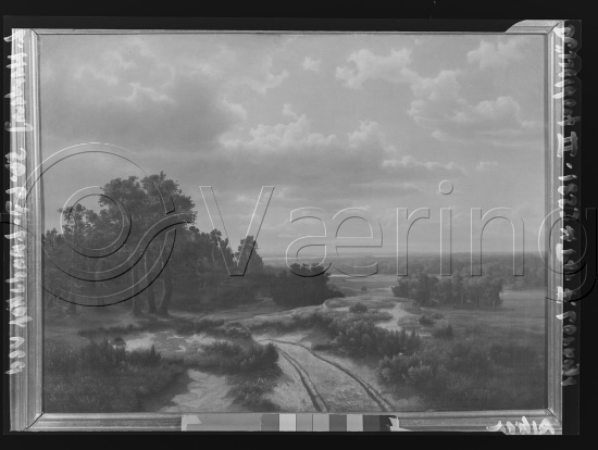 Glassplate og negativ film