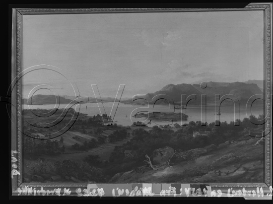Glassplate og negativ film