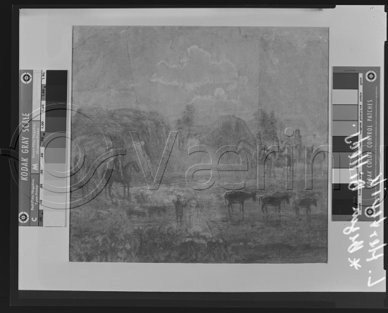 Glassplate og negativ film