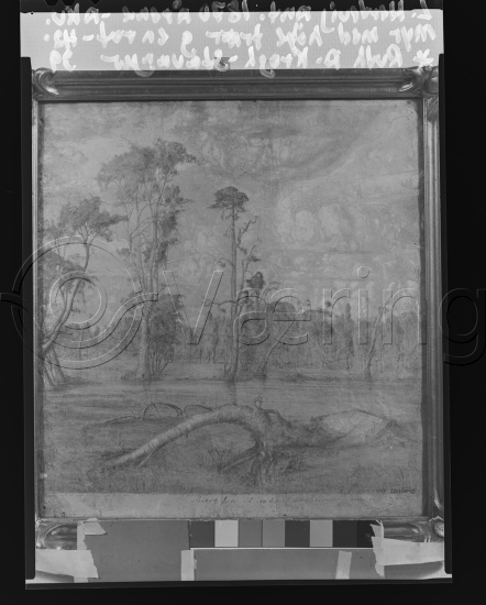 Glassplate og negativ film