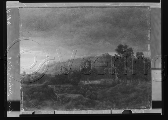 Glassplate og negativ film