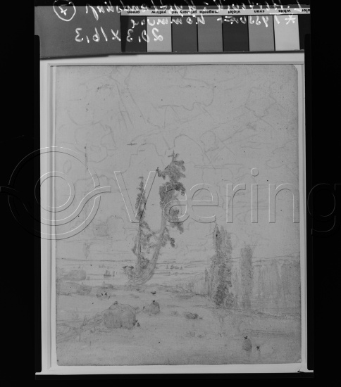 Glassplate og negativ film