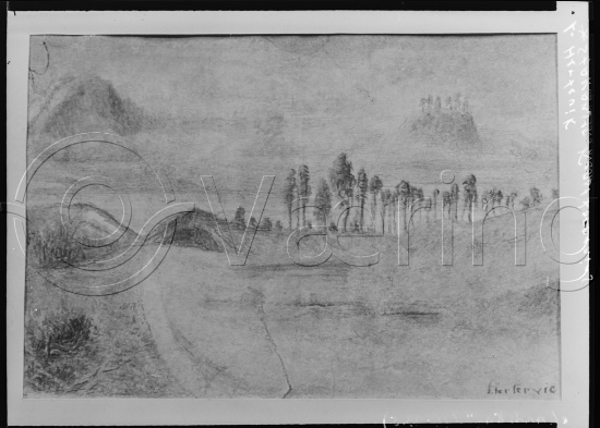 Glassplate og negativ film